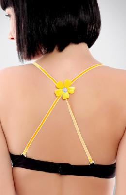 Lingerie Accessories for the Perfect Fit